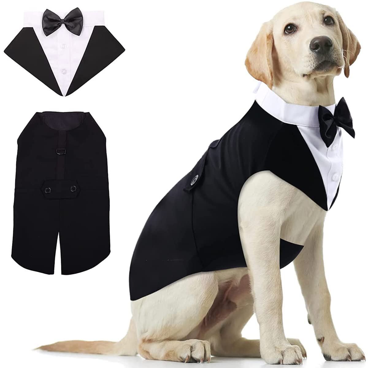 Qidelong tuxedo full ensemble on a dog for a formal look.