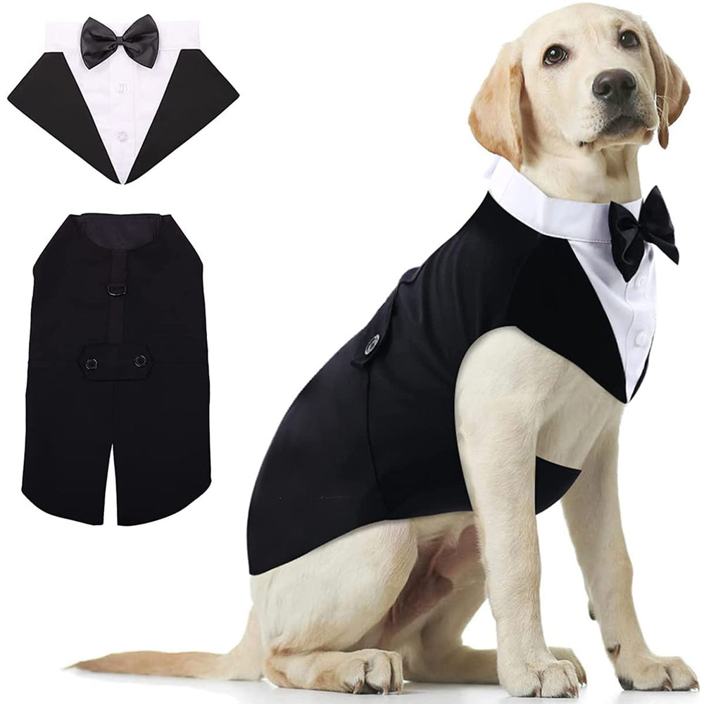 Qidelong tuxedo full ensemble on a dog for a formal look.