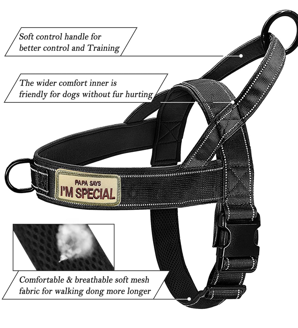 QIFBYFB Green No-Pull Harness adjustable buckles fit four sizes securely
