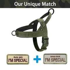 QIFBYFB Green No-Pull Harness chest D-ring for leash attachment and ID tags