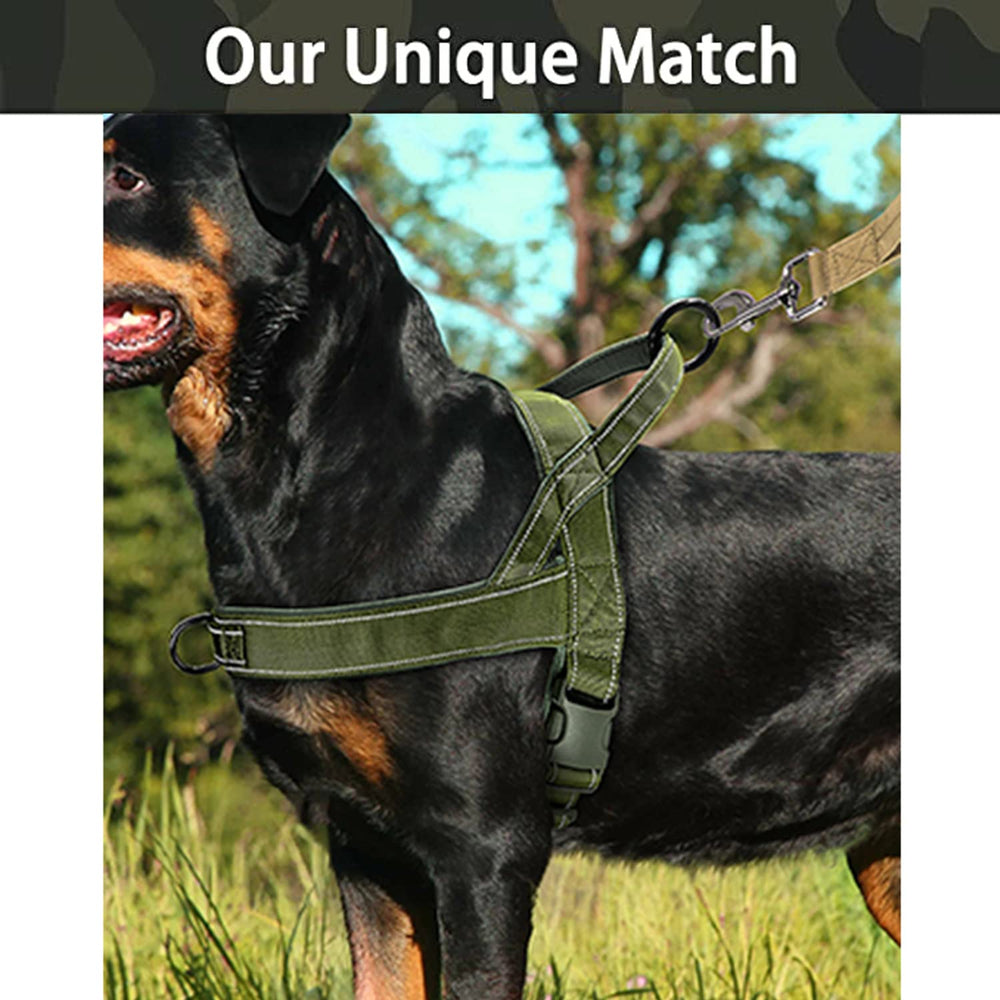 QIFBYFB Green No-Pull Harness reflective straps aid visibility during night walks