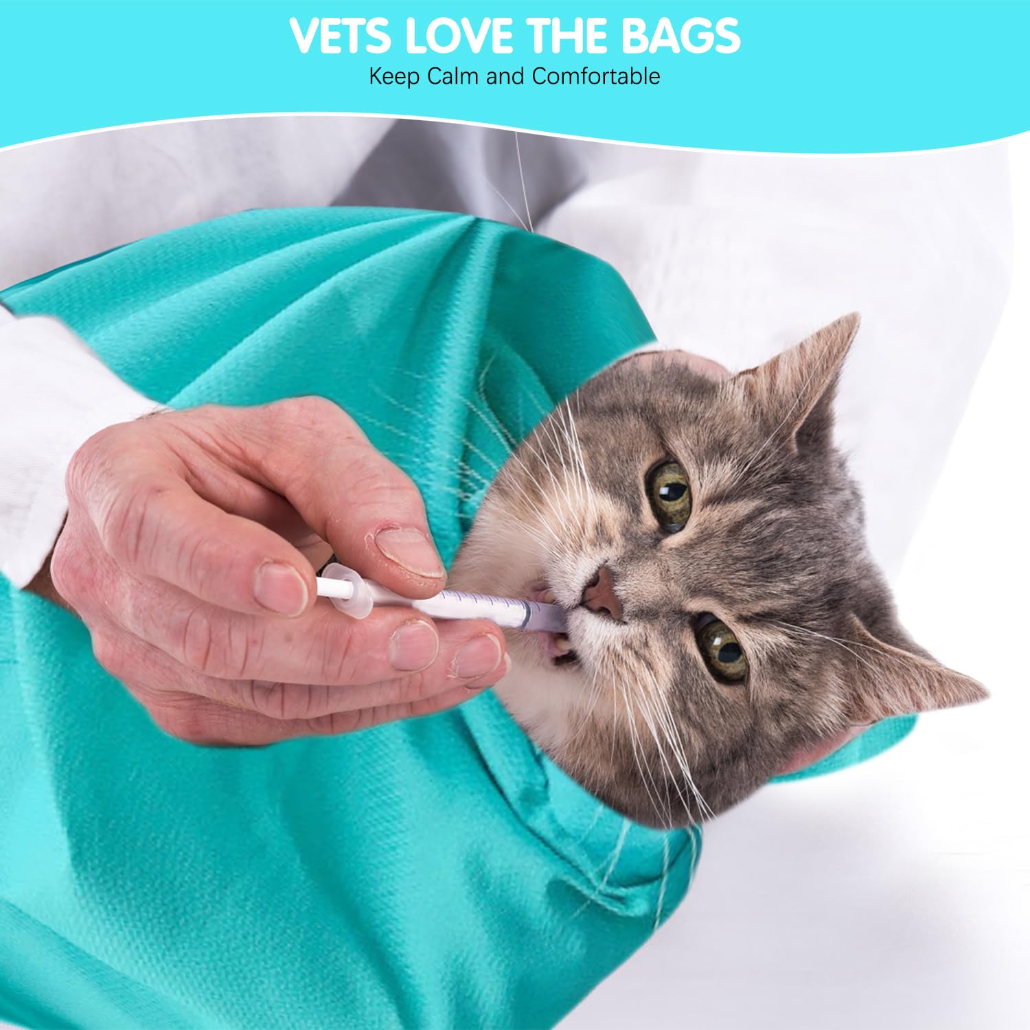 QiFind Cat Carrier Pouch comes as a 2-pack for convenient two-cat households.