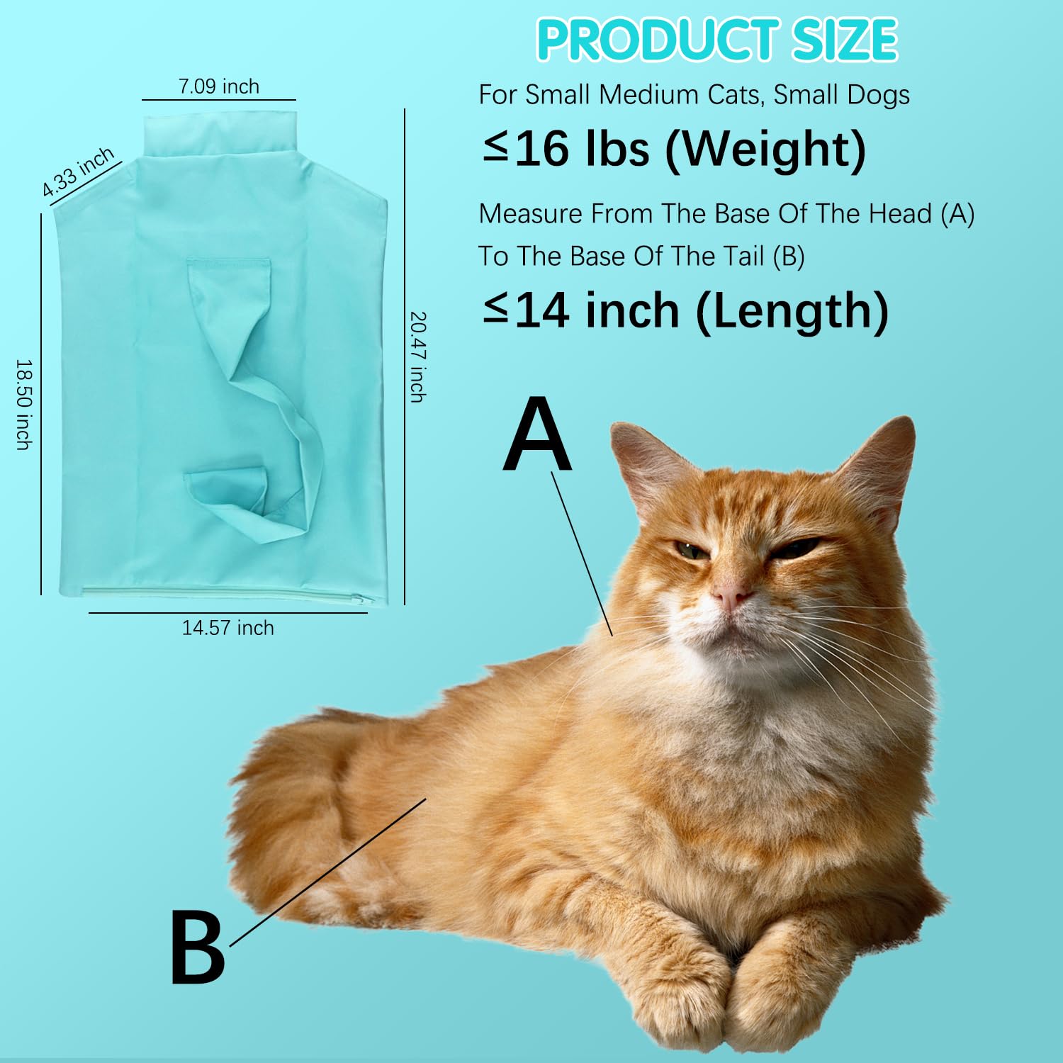 QiFind Cat Carrier Pouch features an easy unzip-and-slip design for quick setup.
