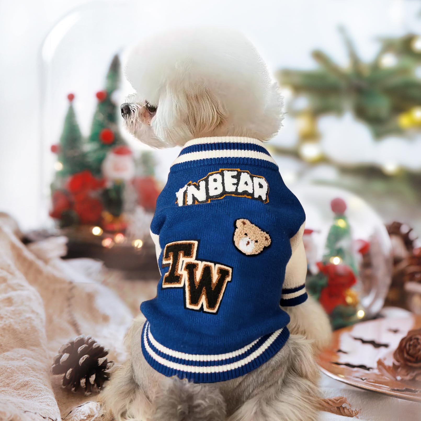 Qincycle bear logo detail emphasizes festive flair for small breeds