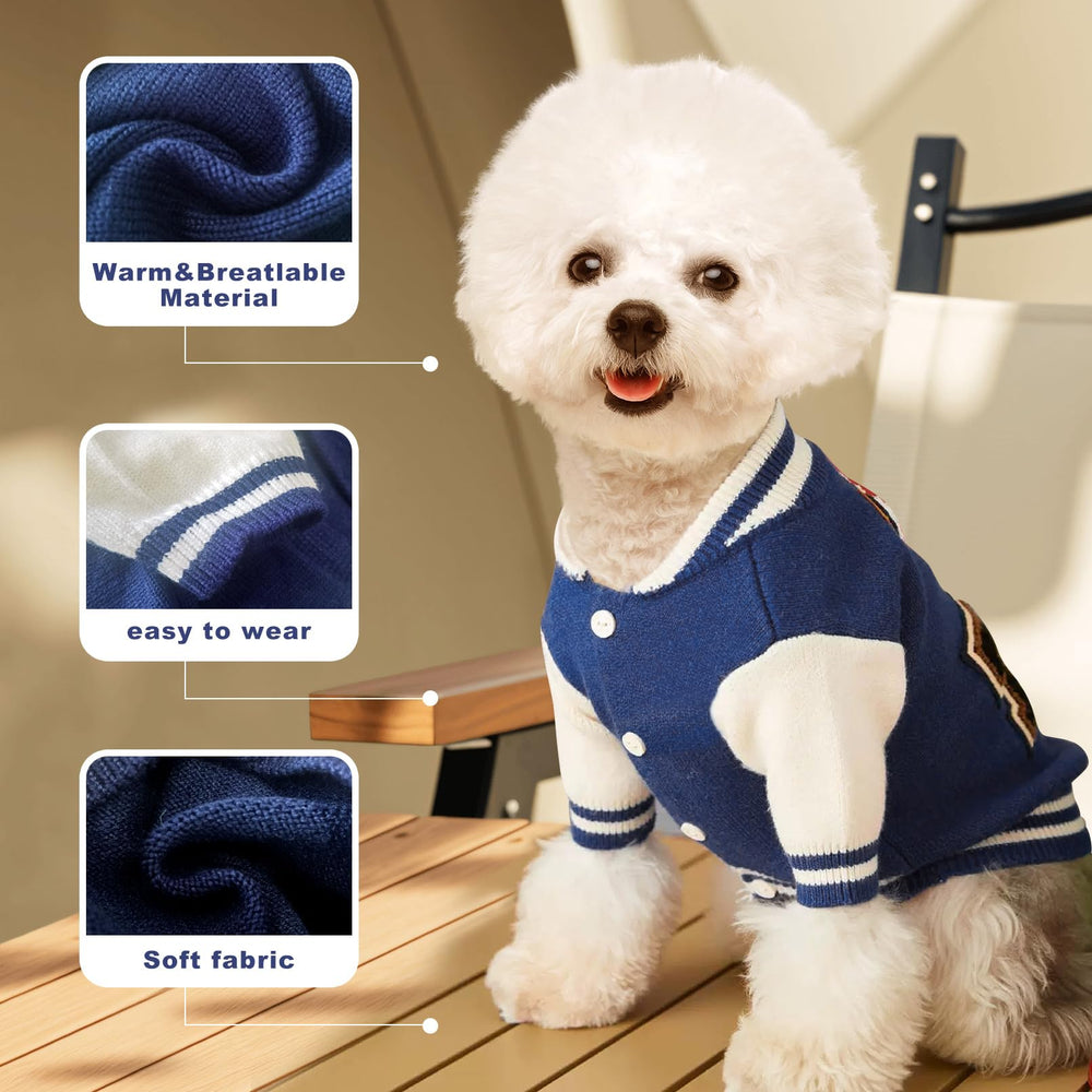 Qincycle blue sweater on a small dog during a winter walk