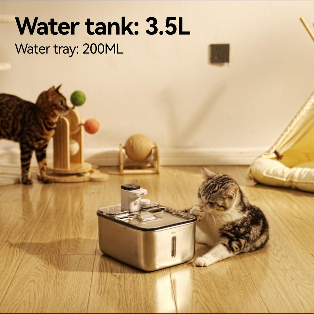 Qinliy stainless steel body is dishwasher-safe for effortless cleaning