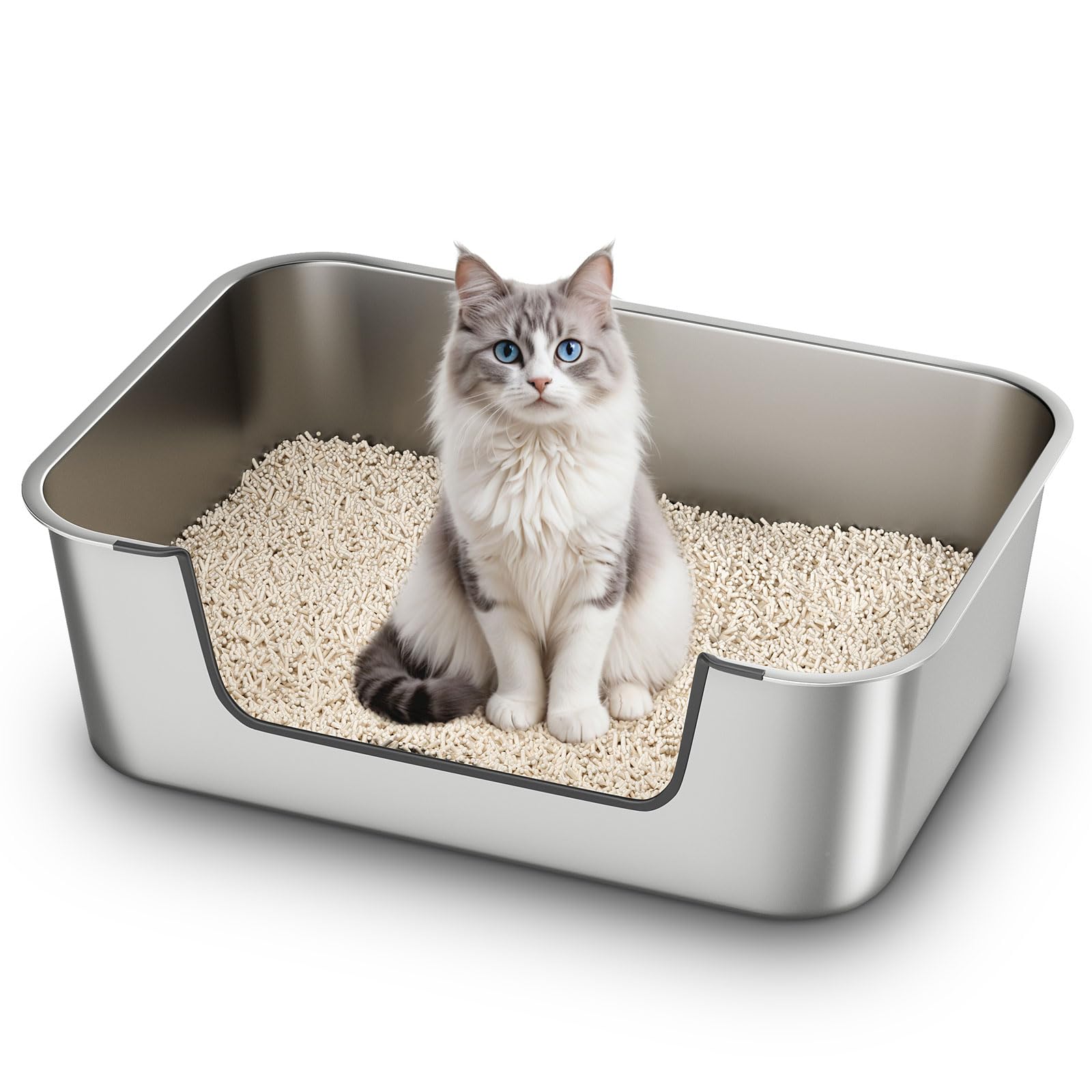 Qiuma stainless steel cat litter box with low entry for easy kitten and senior access.
