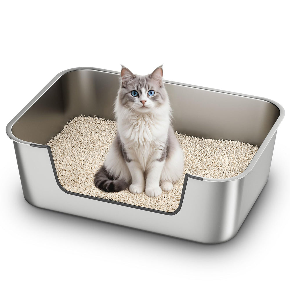 Qiuma stainless steel cat litter box with low entry for easy kitten and senior access.