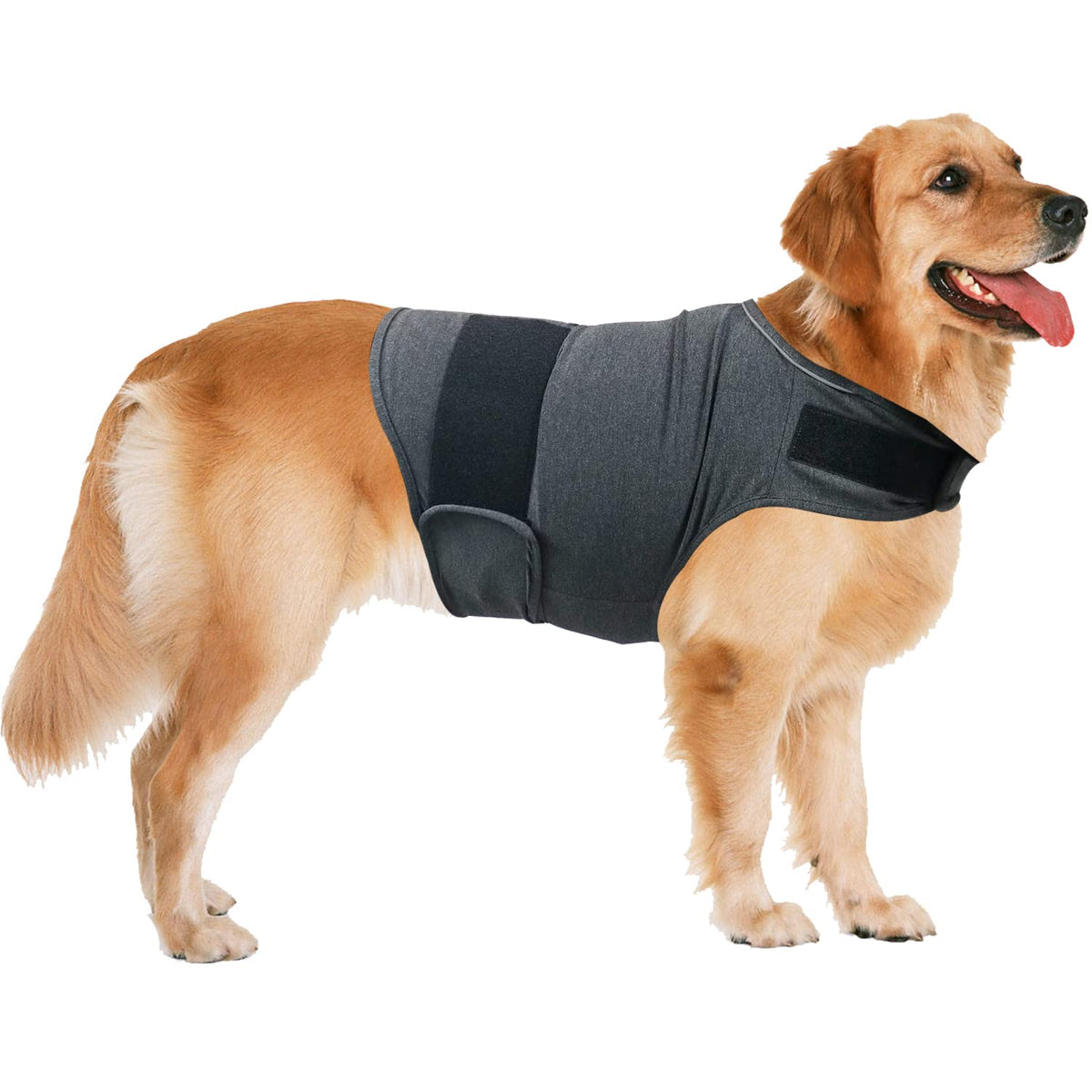QIYADIN anxiety-relief shirt front view on dog for calm during fireworks