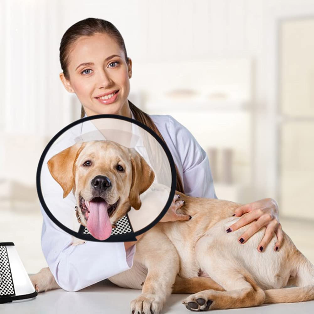 QIYADIN durable reusable cone scratching-resistant shows long service life for pets
