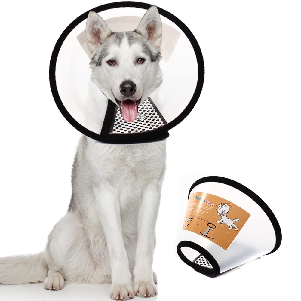 QIYADIN plastic pet recovery collar on an XXXL dog showing post-op wear and deterring licking.