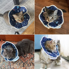 QIYADIN Soft Cat Cone protects surgical sites during recovery and grooming sessions.