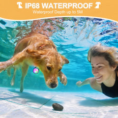 QIZIYARDALL luz de collar para perro IP68 y resistente al agua