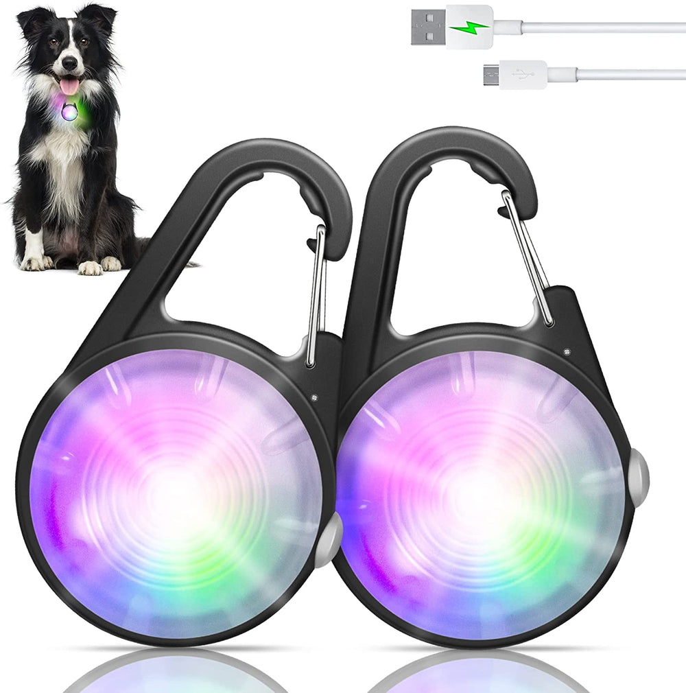 QIZIYARDALL luz de collar para perro mejora visibilidad nocturna en paseos