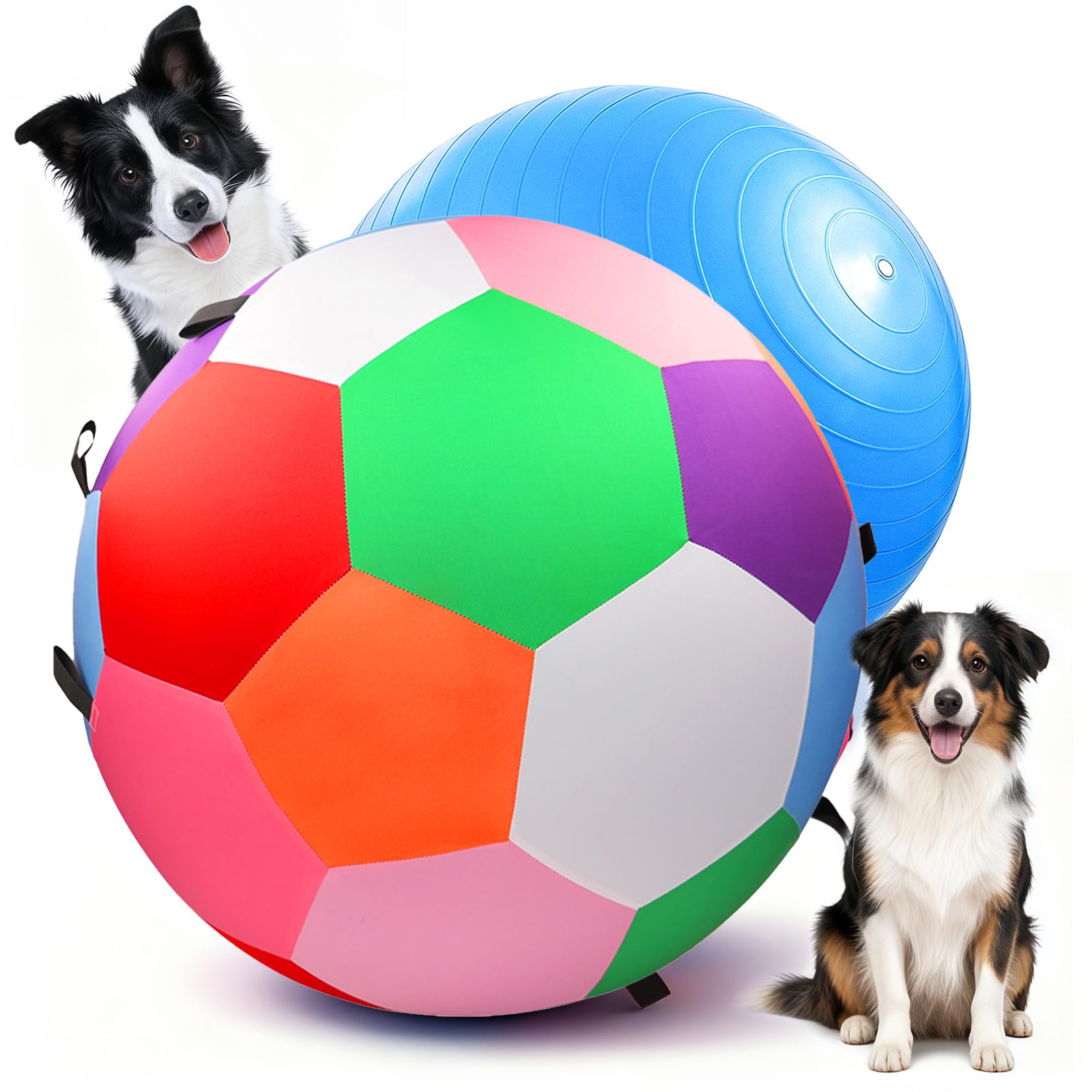 Qlfyuu Herding Ball in park fuels active play and mental engagement.