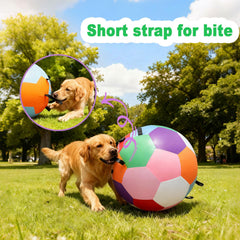 Qlfyuu Herding Ball heavy-duty-oxford-cover withstands enthusiastic play.