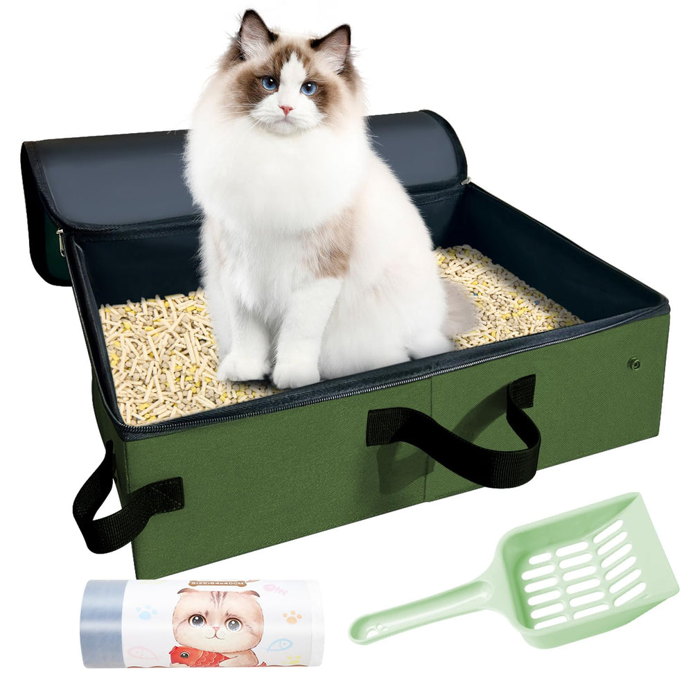 QmLoinDetail large travel-litter-box ideal for multi-cat households on trips.