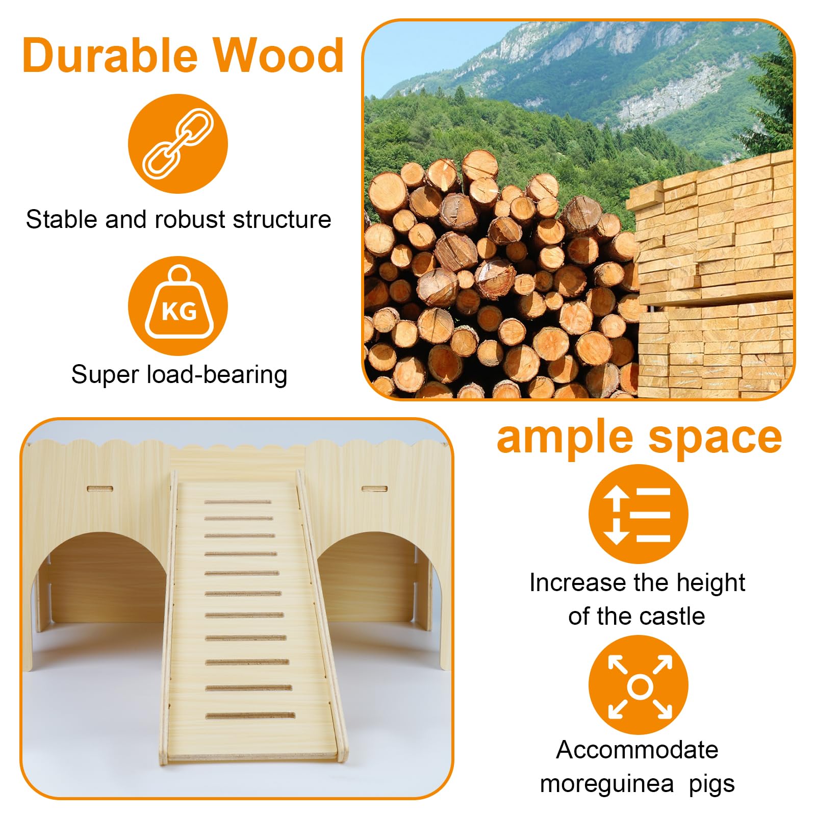 Qorviana staircase connection design provides safe space for playful pets.
