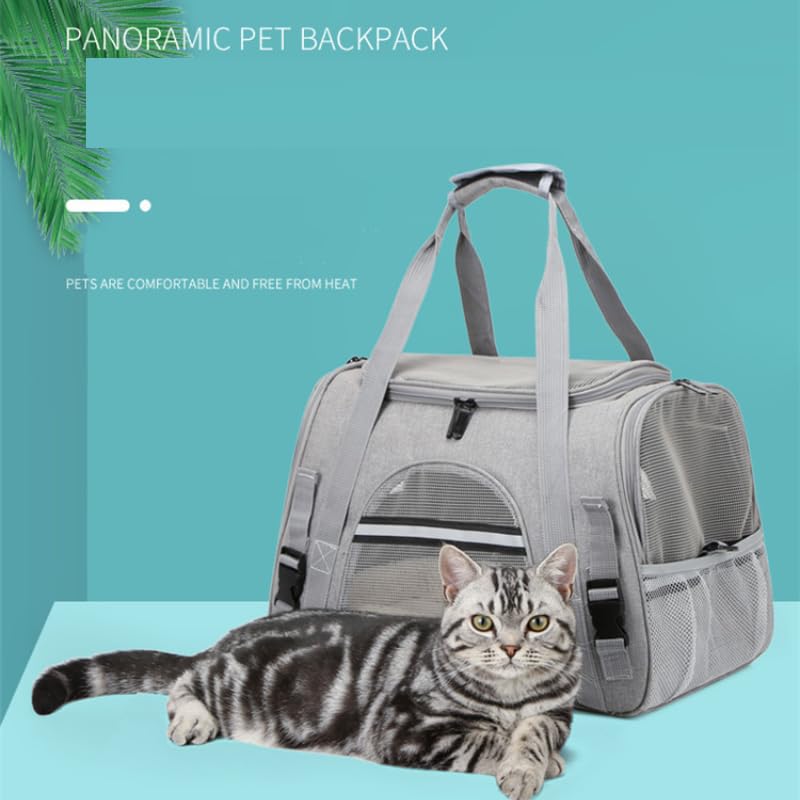 QQLe pet carrier four-sided mesh panels maximize airflow and visibility.