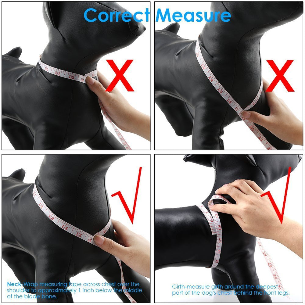 QQPETS correa de 5 pies ideal para paseos diarios.