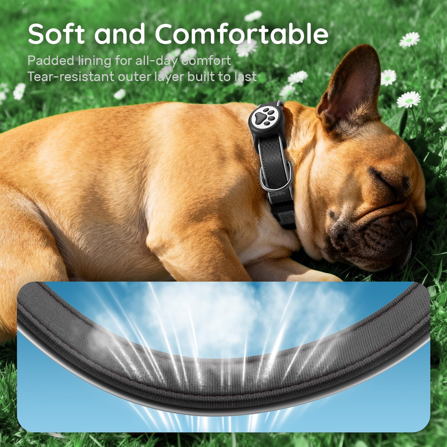 QRTAGLAB Airtag collar durable Oxford cloth construction withstands active dogs