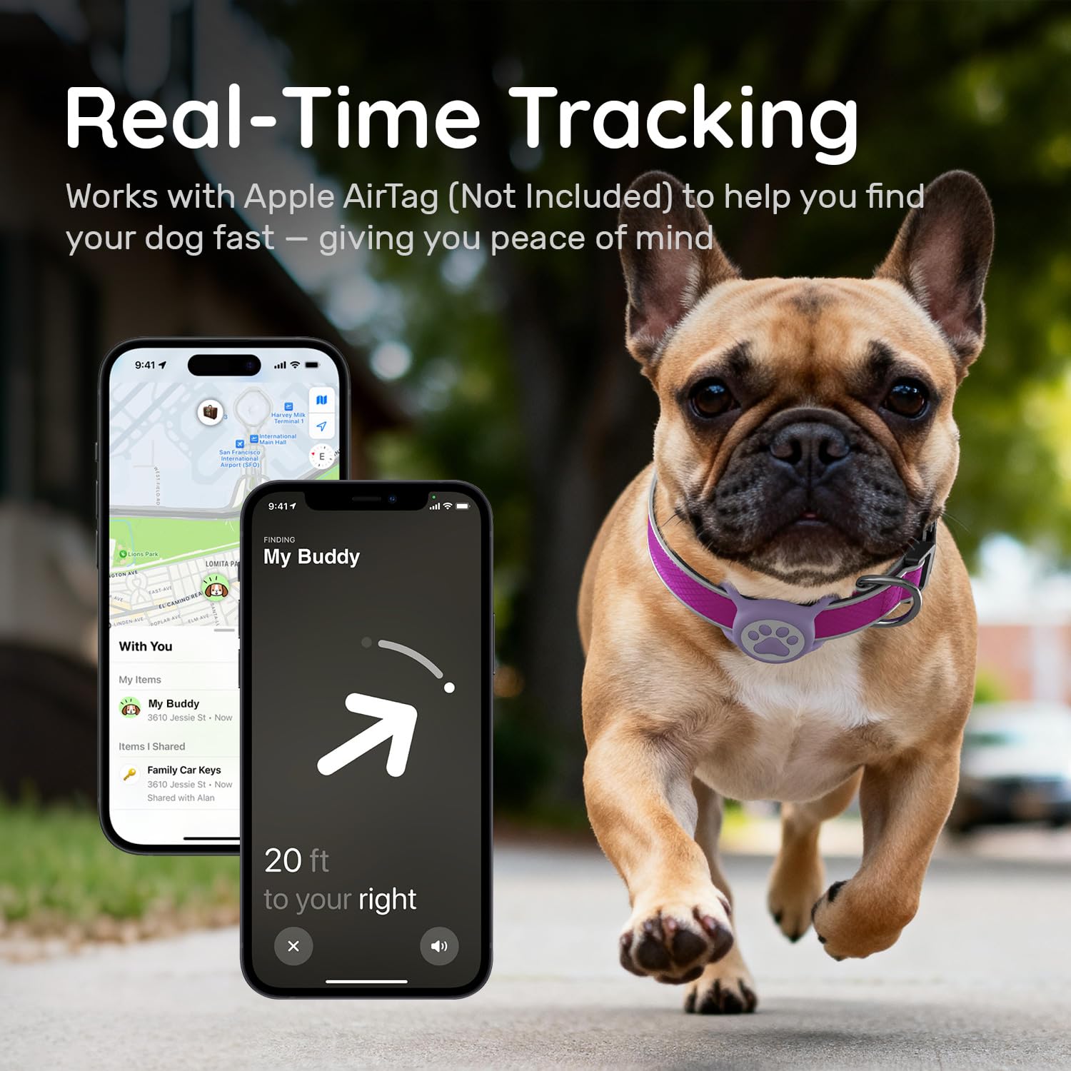 QRTAGLAB collar with reflective strips improves nighttime visibility during walks