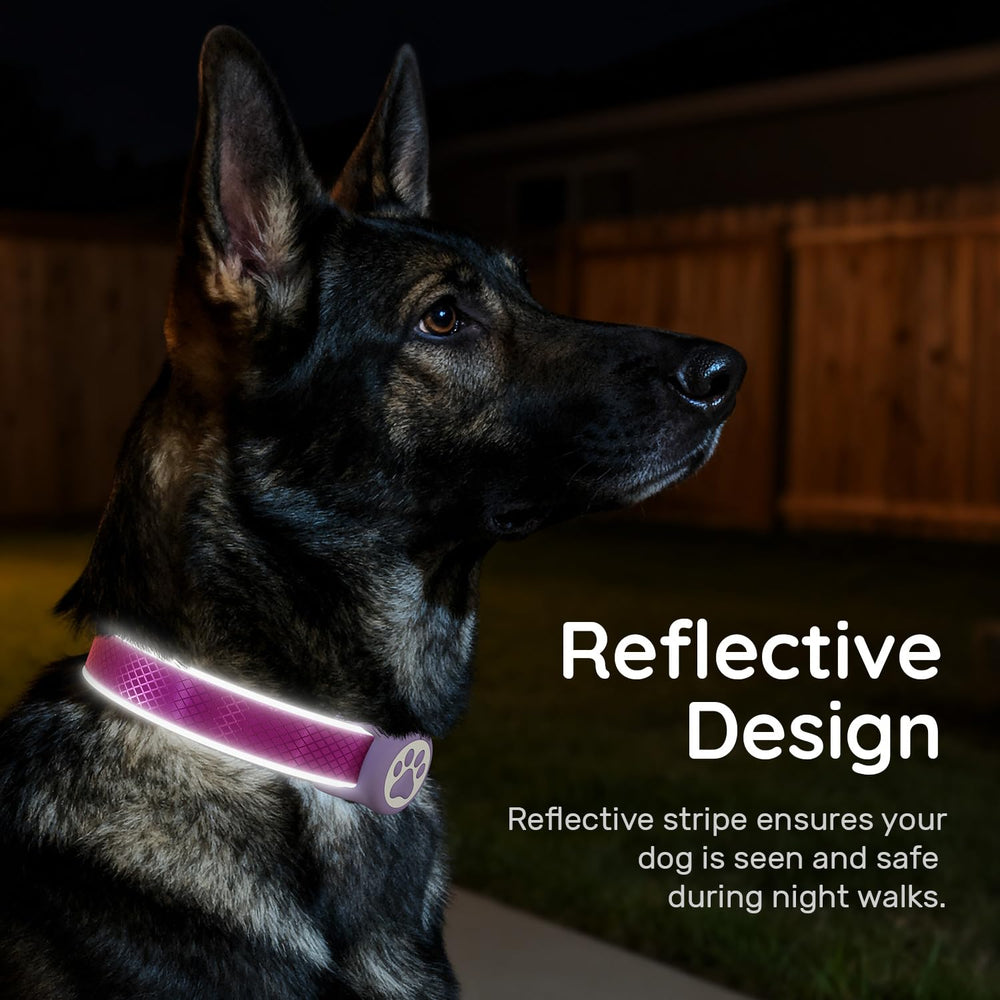 QRTAGLAB collar safety locking buckle ensures secure fit during outdoor adventures
