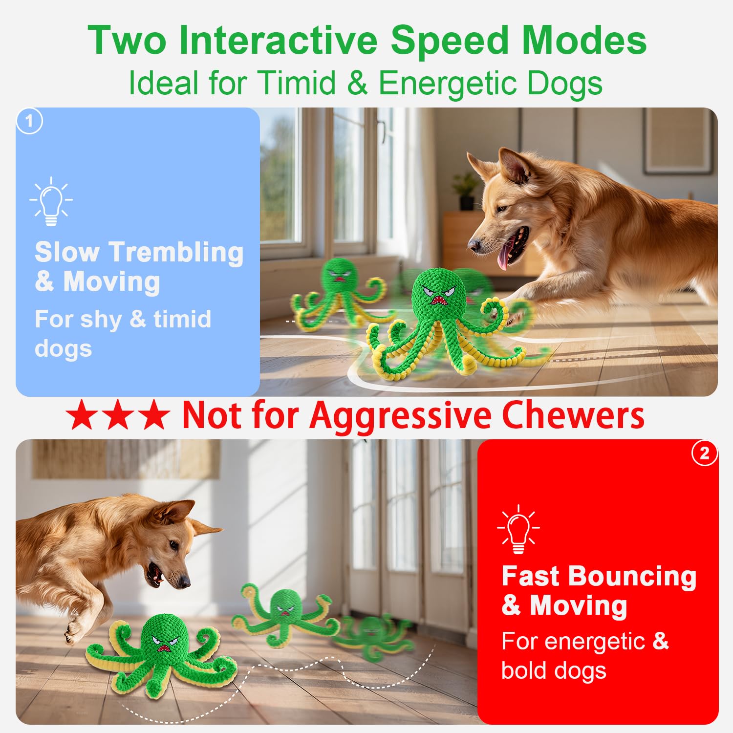 Qraxond interactive ball bouncing action demonstrates engaging play for active dogs.