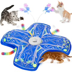 Qraxond interactive cat toy cover image shows the lid, sparking curiosity and indoor exercise.