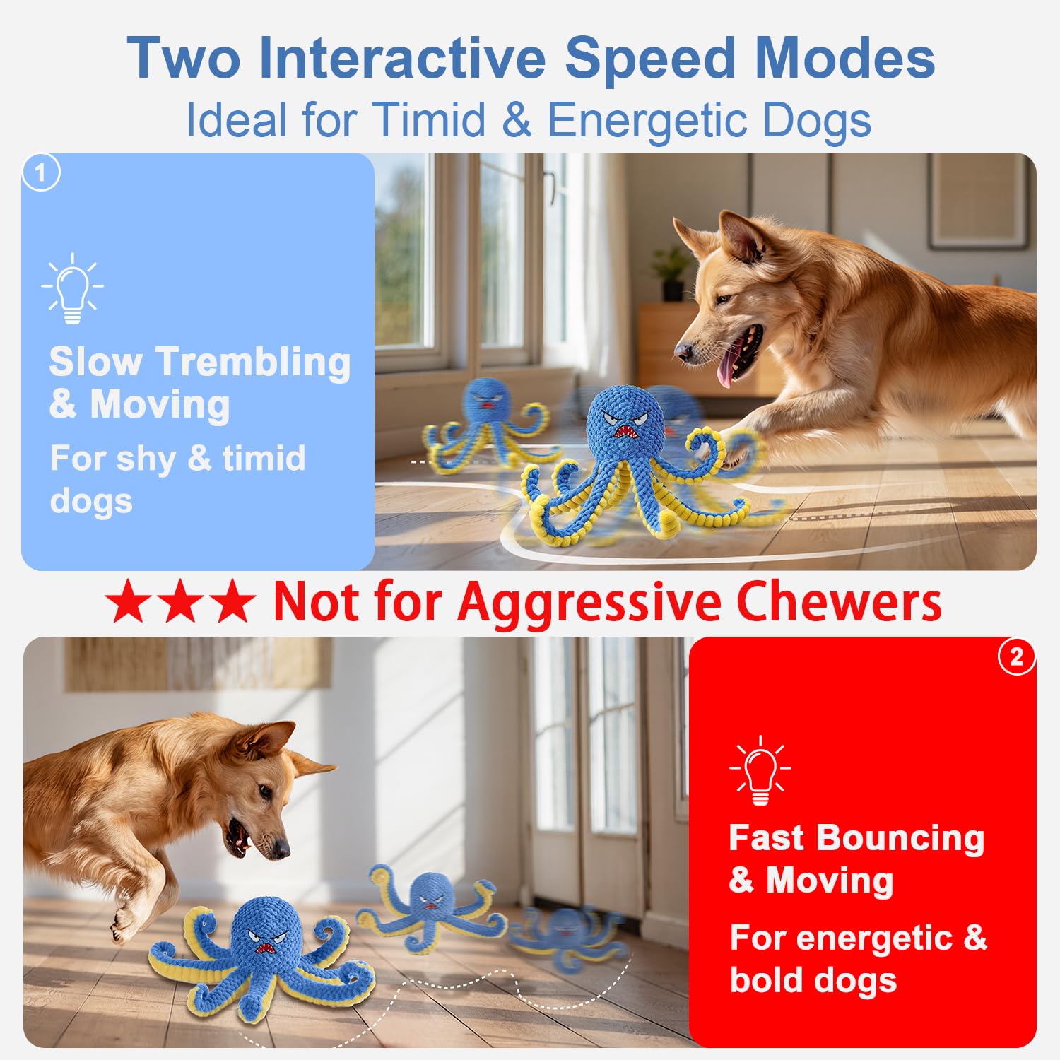 Qraxond Octopus ball in action showing dynamic bouncing for canine engagement