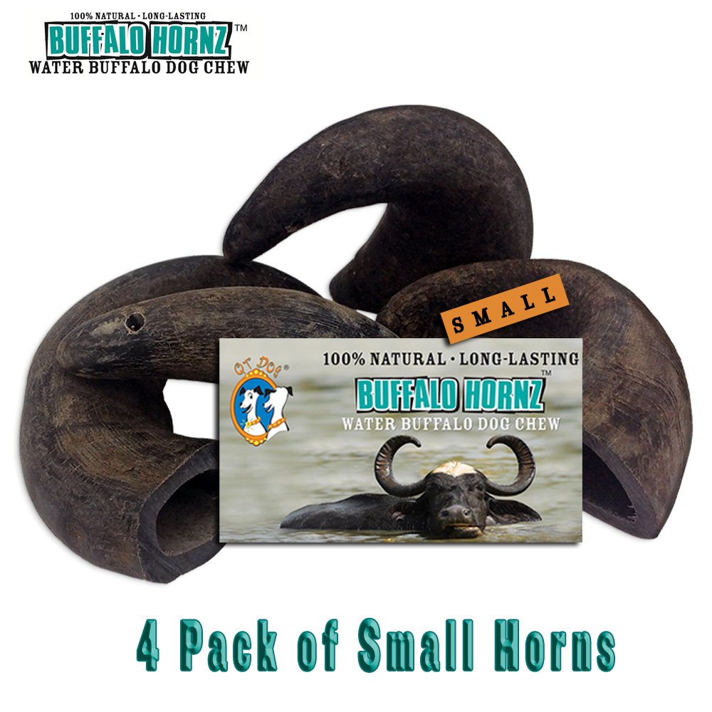 QT Dog buffalo horn dental care on the go helps promote healthy gums.