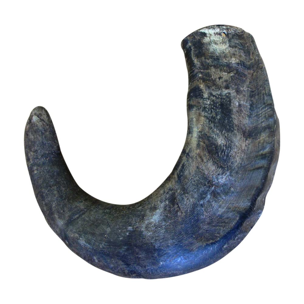 QT Dog Buffalo Horn Large 2-Pack: long-lasting chew that may help scrape tartar and promote dental care