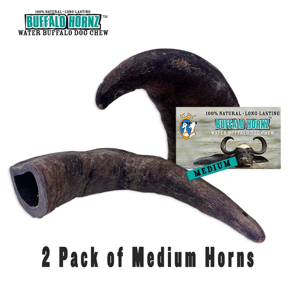 QT Dog Buffalo Hornz close-up highlights protein-rich, low-fat natural chew