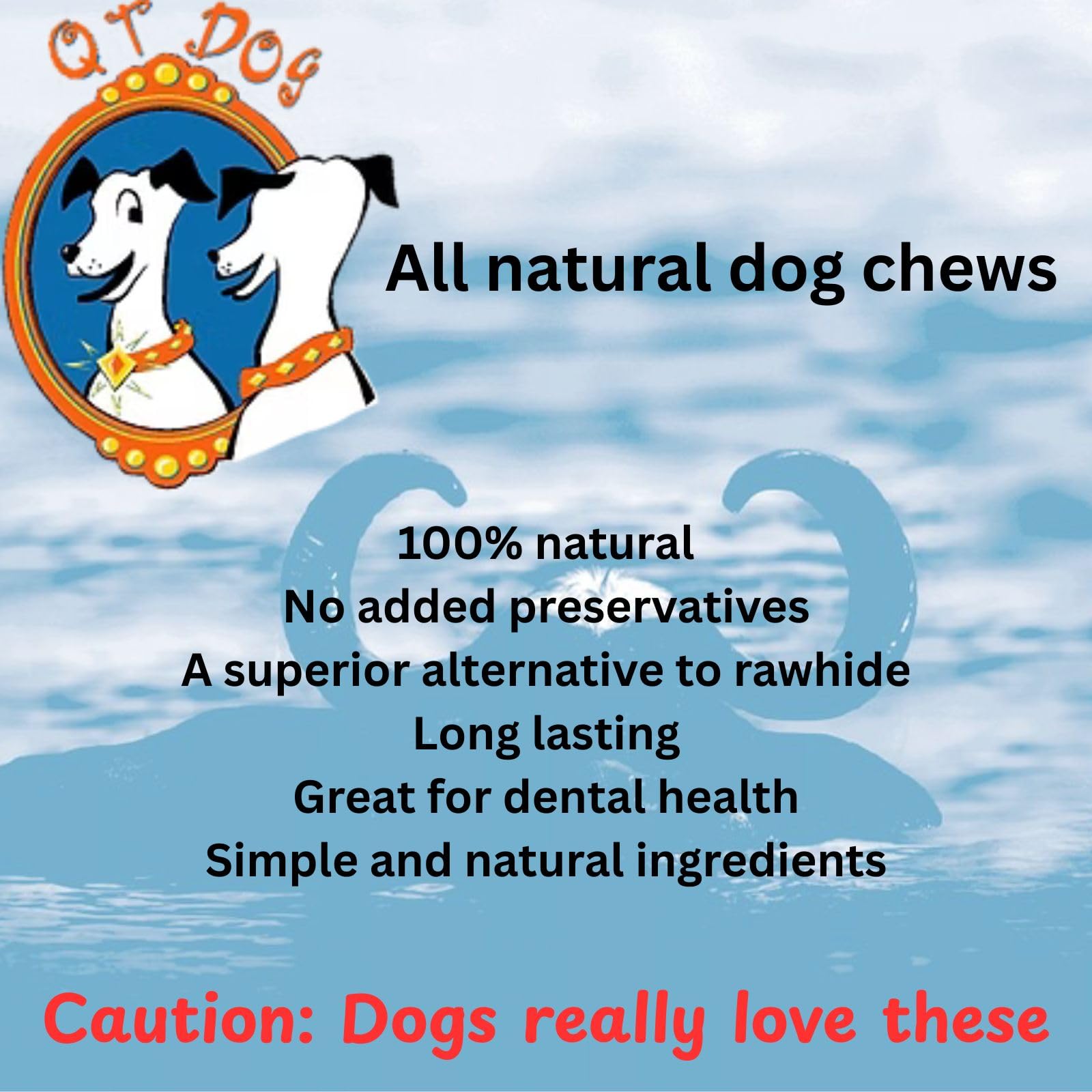 QT Dog Gobi Horn dog chew session—free-range origin and natural durability.