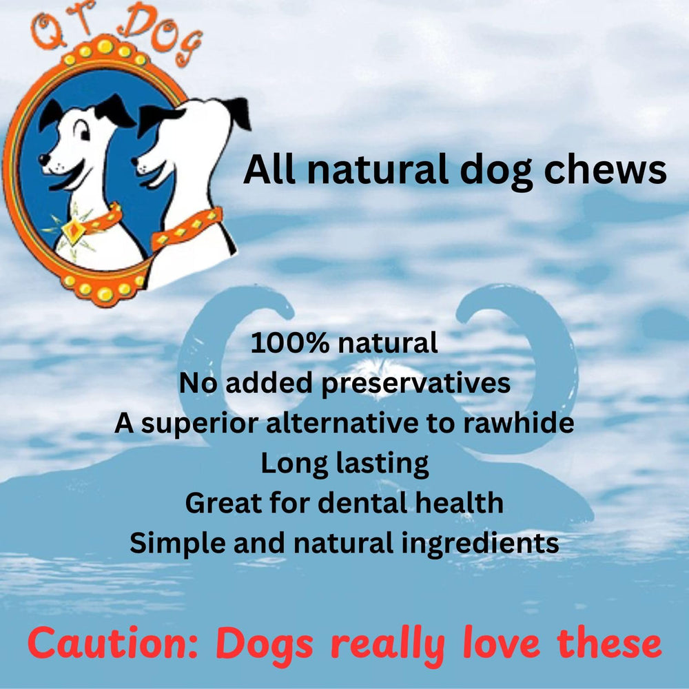 QT Dog Gobi Horn dog chew session—free-range origin and natural durability.