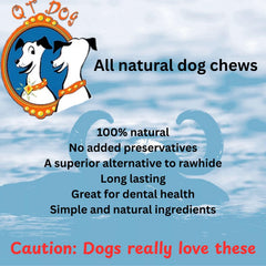QT Dog Gobi Horn dog chew session—free-range origin and natural durability.