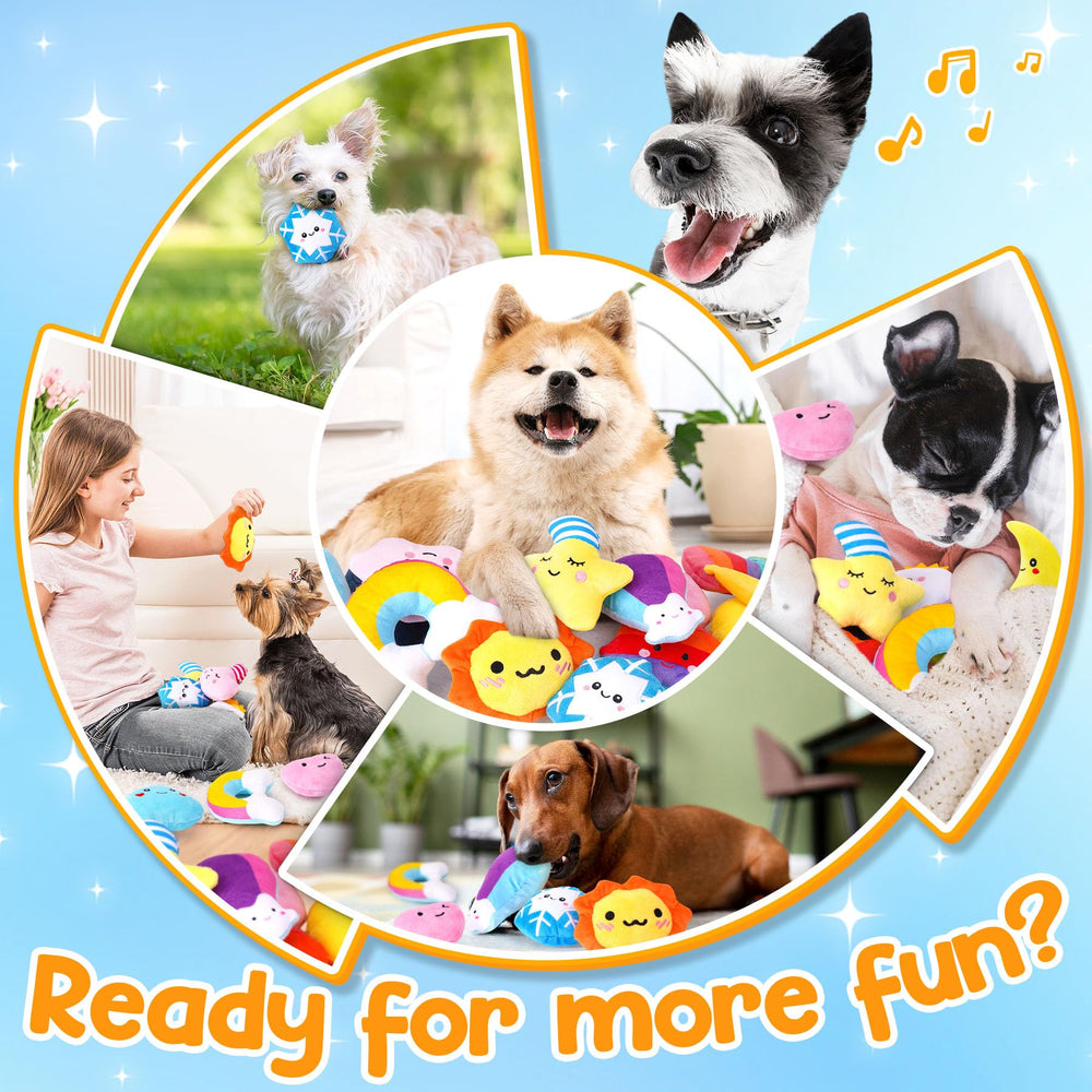 QTwoof dog bags pack provides convenient storage for walks and adventures.