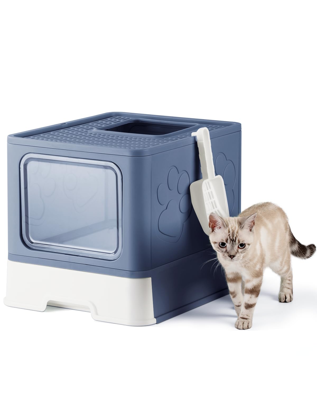 Qualasision enclosed cat litter box blue top view showcases privacy and odor control.