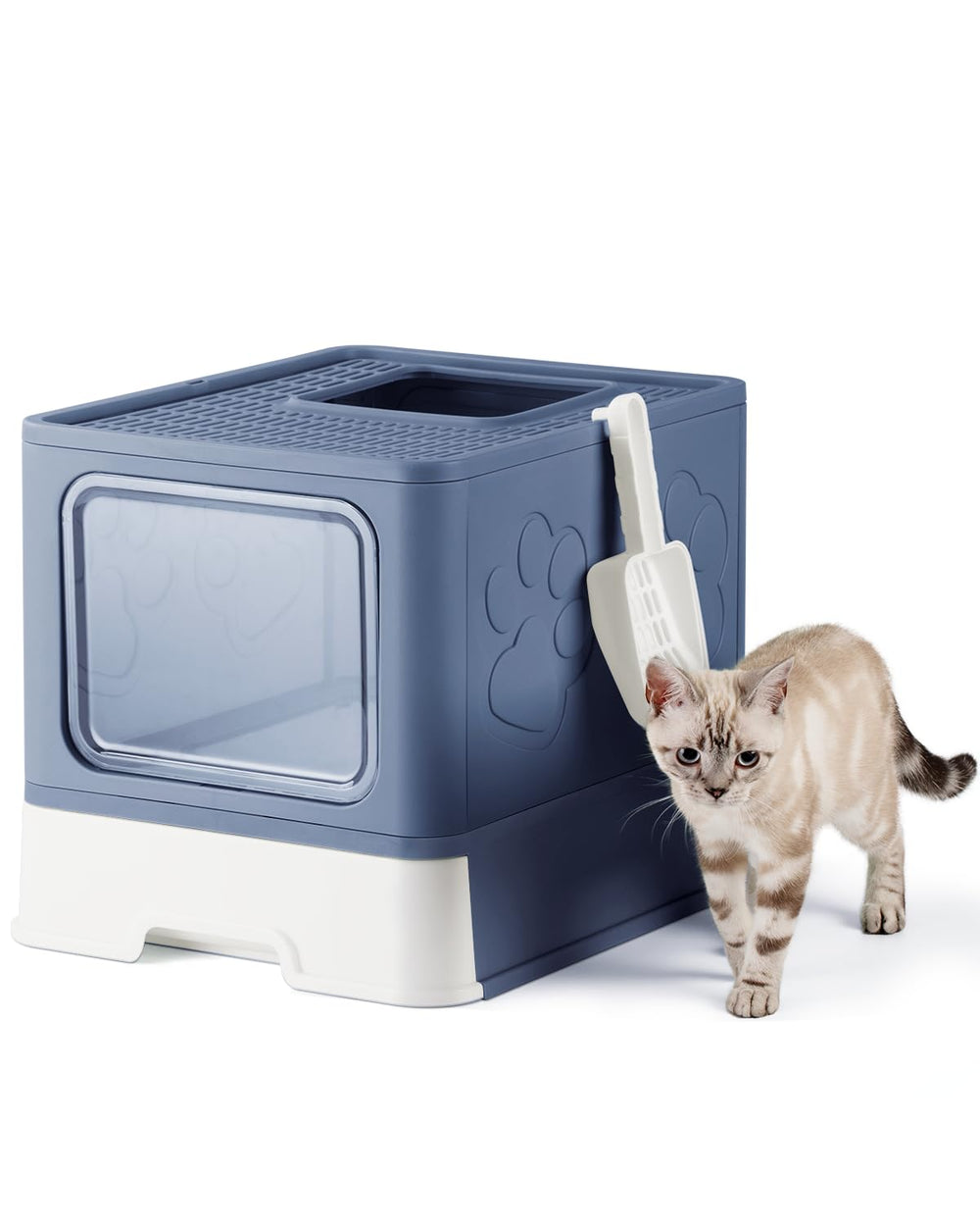 Qualasision enclosed cat litter box blue top view showcases privacy and odor control.
