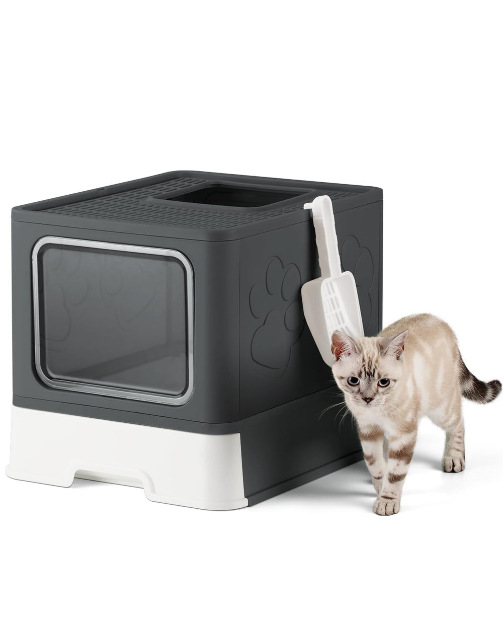 Qualasision enclosed cat litter box with top-entry design for easy access and reduced tracking.