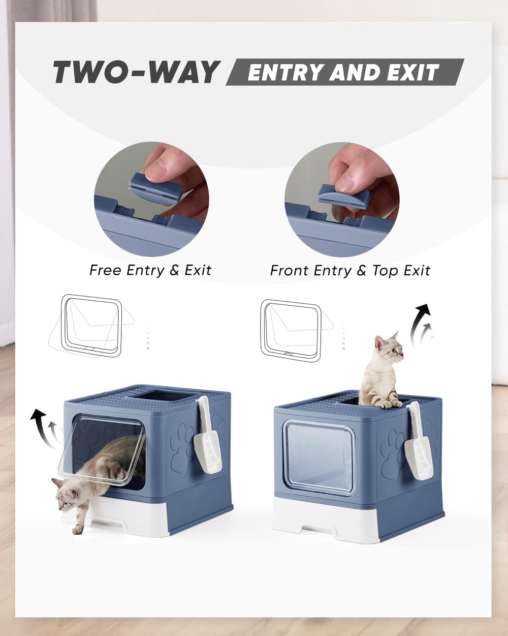 Qualasision large cat litter box interior space for big cats to move freely.