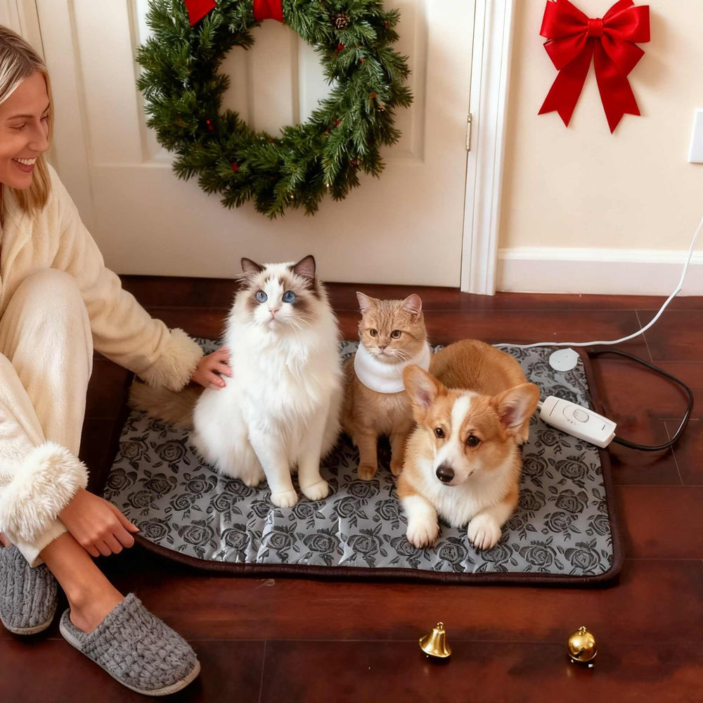 QUASILOVE heated dog bed two pets snuggle to share warmth