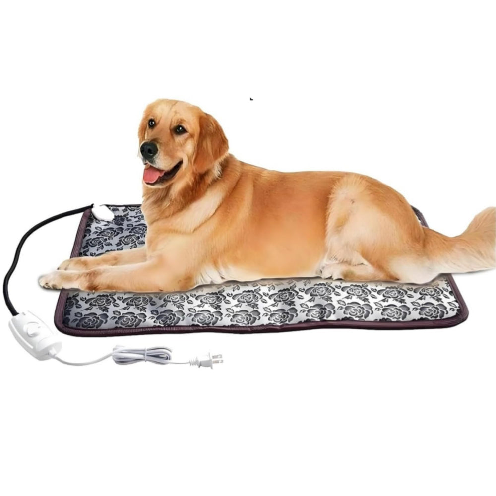 QUASILOVE heated dog bed front view shows roomy space for large pets