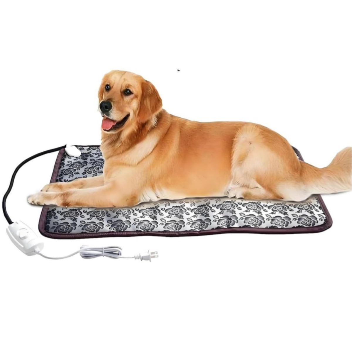 QUASILOVE heated dog bed front view shows roomy space for large pets