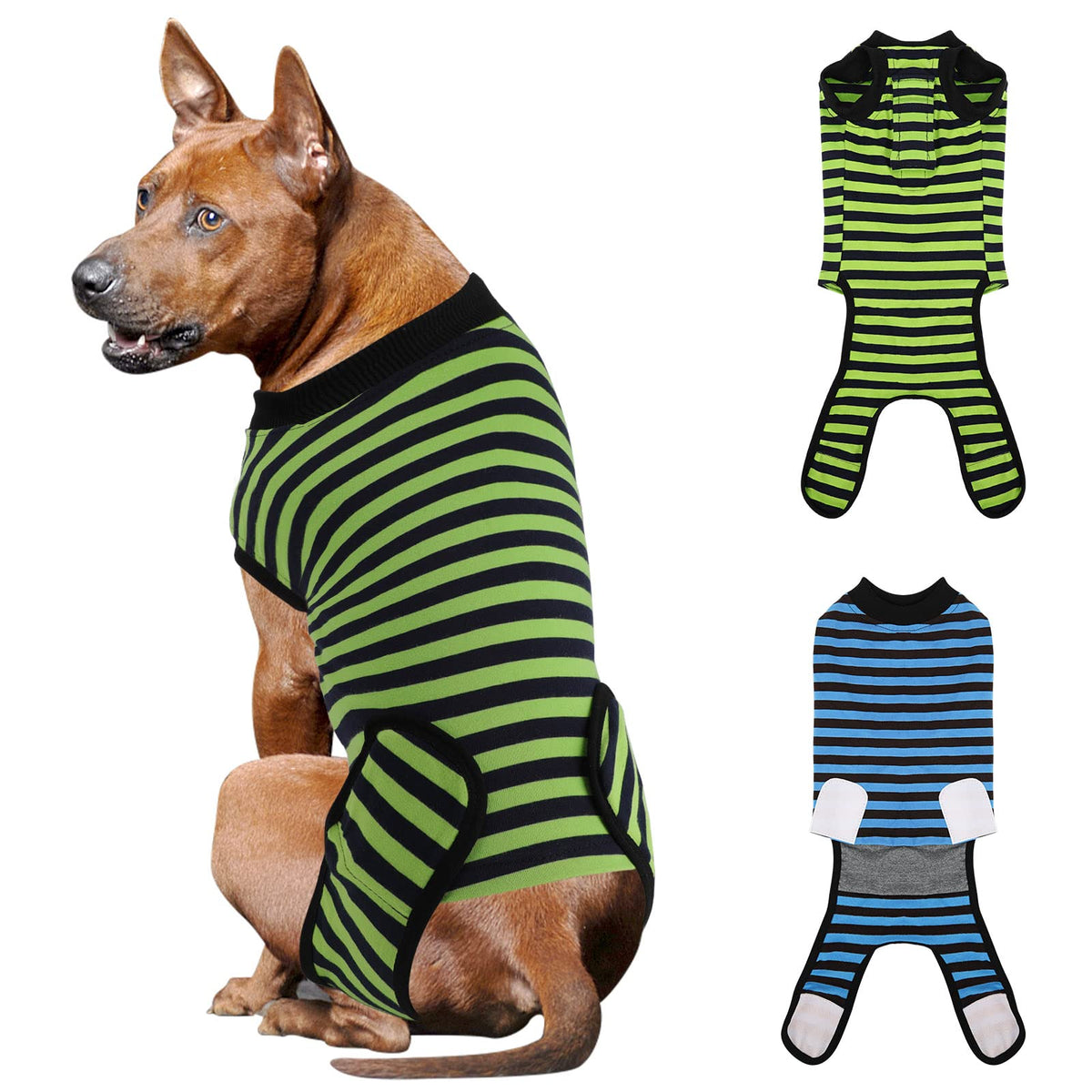 QUEARN breathable dog recovery suit blue stripes on a calm dog during post-surgery wear