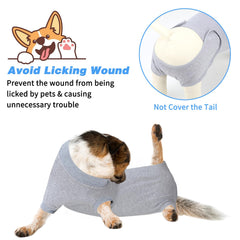 QUEARN cone-alternative dog recovery shirt enabling relaxed movement during healing