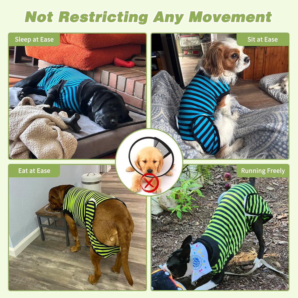 QUEARN cone-alternative dog recovery featuring flexible fit and gentle coverage