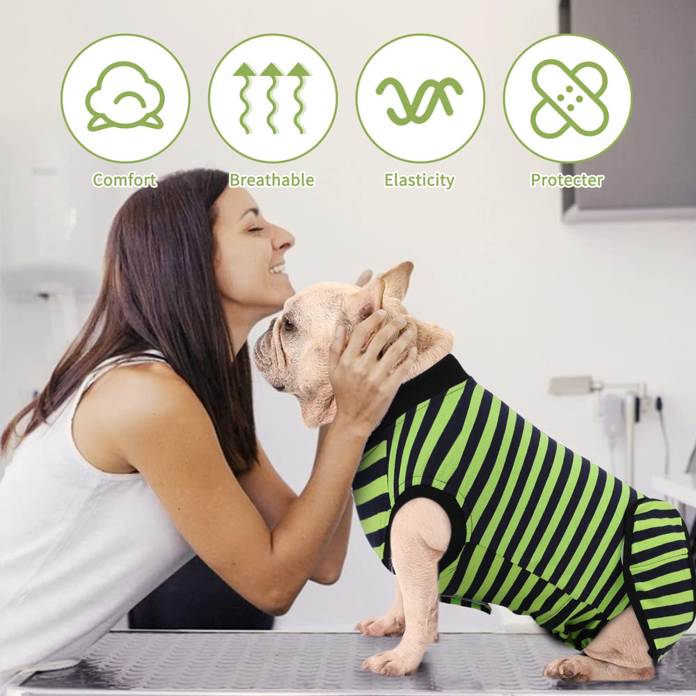 QUEARN dog recovery mobility-boost design supports gentle movement during healing