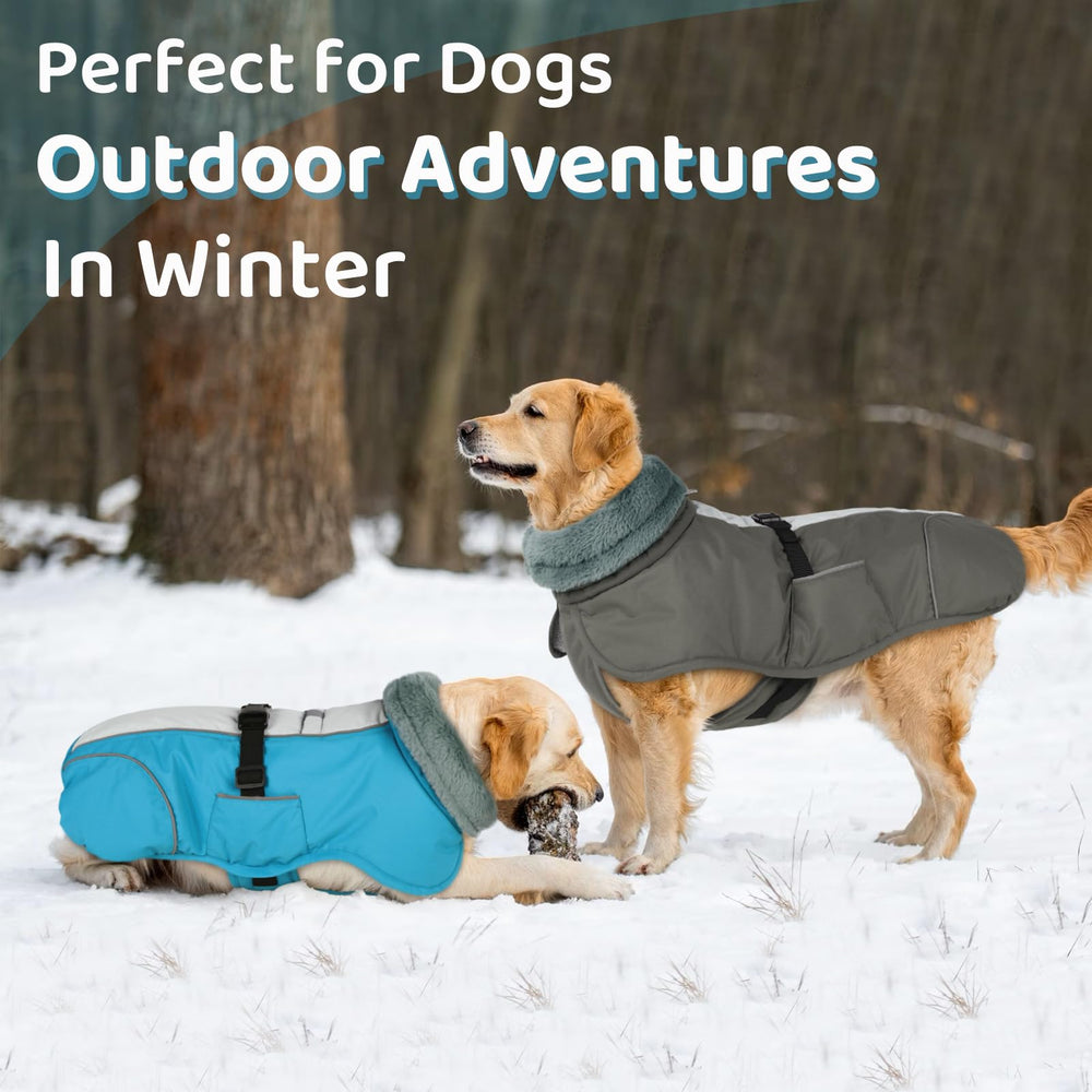Queenmore blue-large-breed-coat provides durable protection for big dogs.