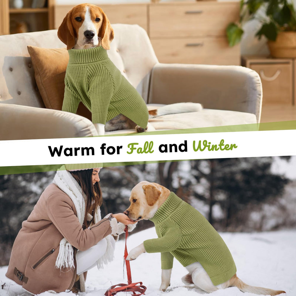 Queenmore check-pattern dog sweater green stylish warmth for daily wear